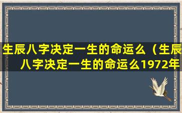 生辰八字决定一生的命运么（生辰八字决定一生的命运么1972年 🦁 农历10月22十一点出生）